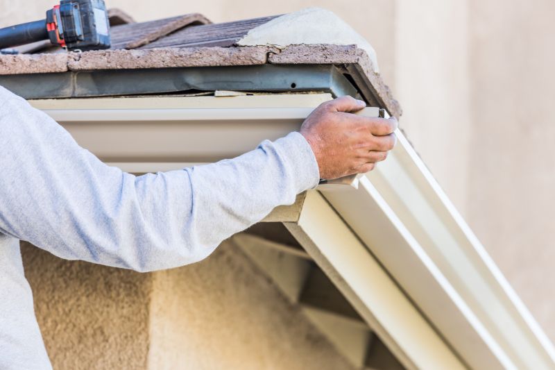 Gutter Service detail